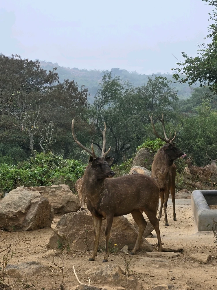 Image uploaded by Ron