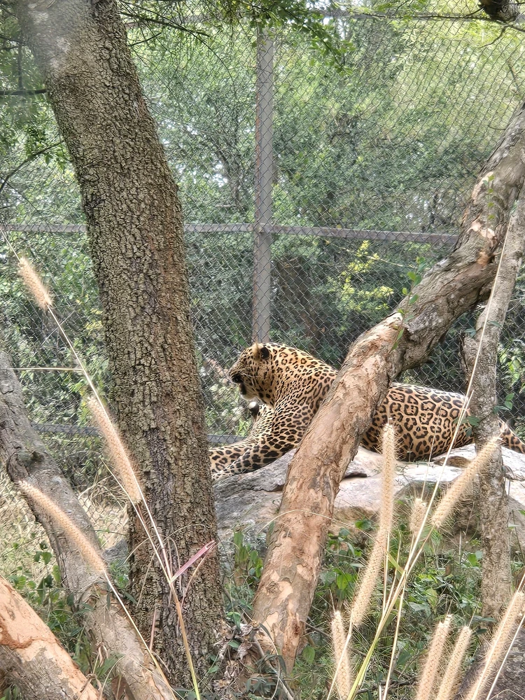 Image uploaded by Ron