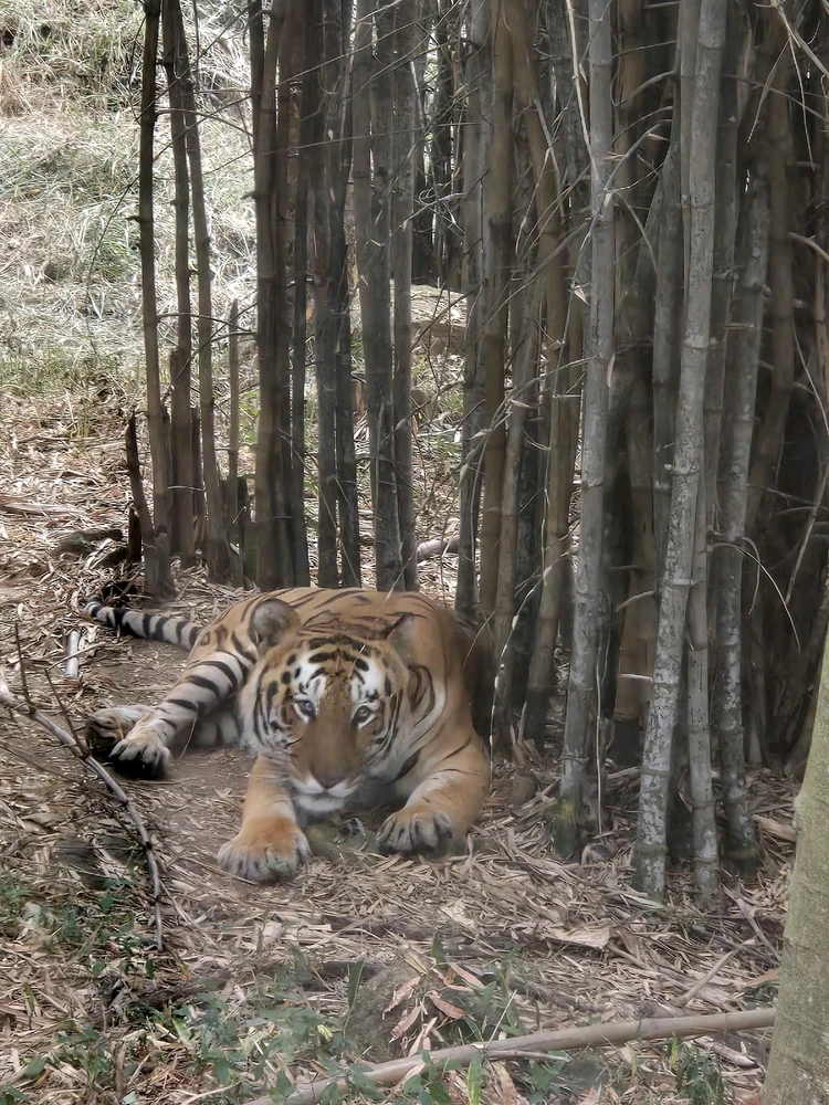 Image uploaded by Ron