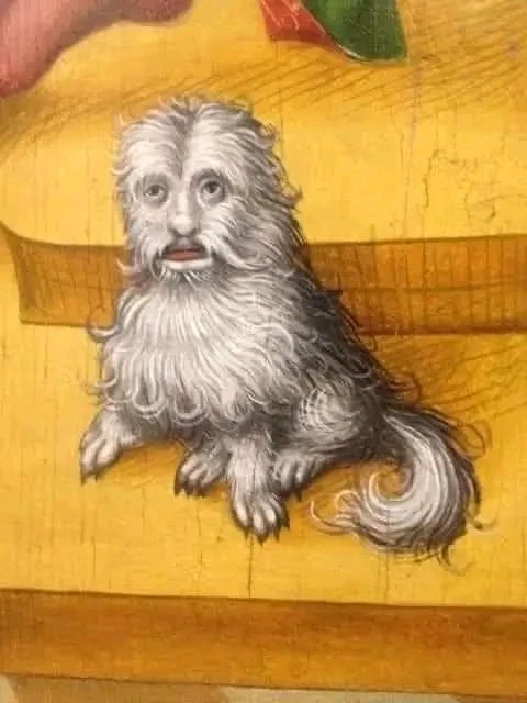 GIF dodany przez Nikola