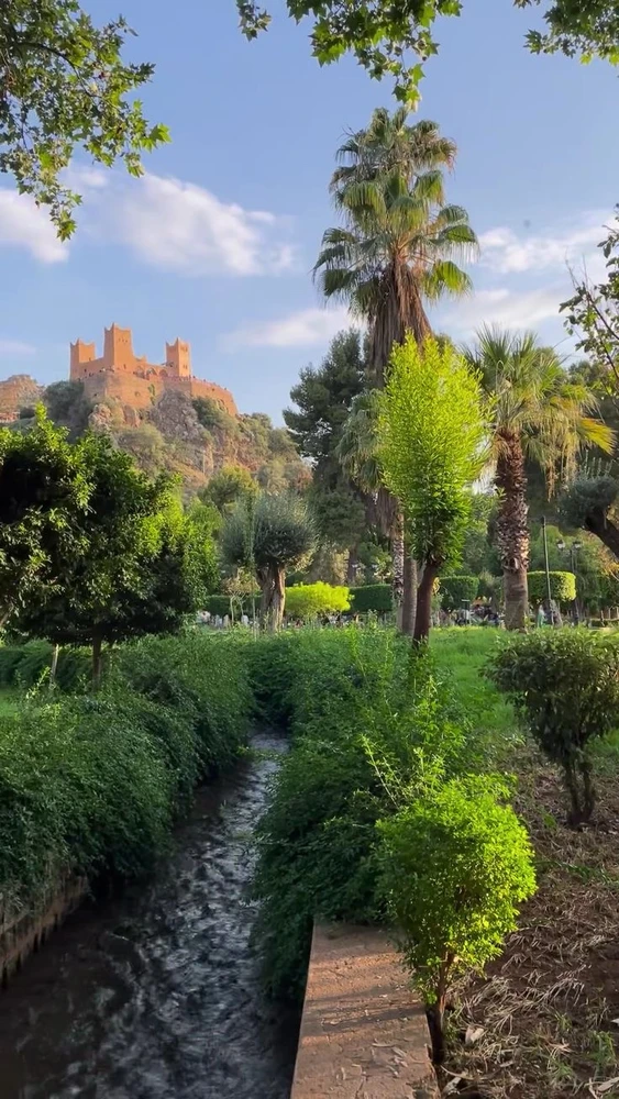 Image uploaded by Oussama