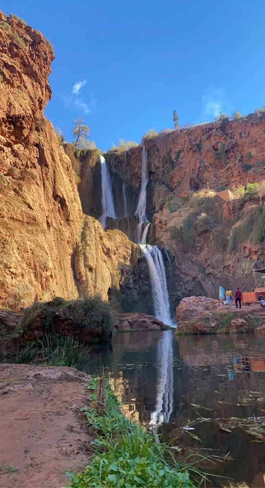 Image uploaded by Oussama