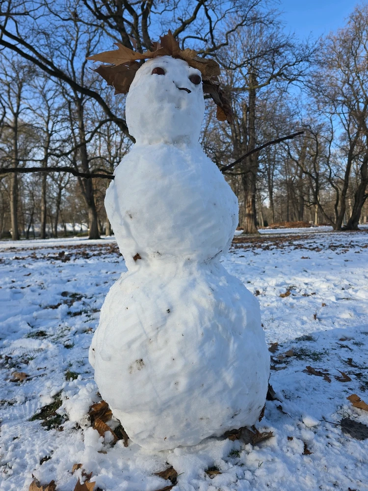 Gábor által feltöltött GIF