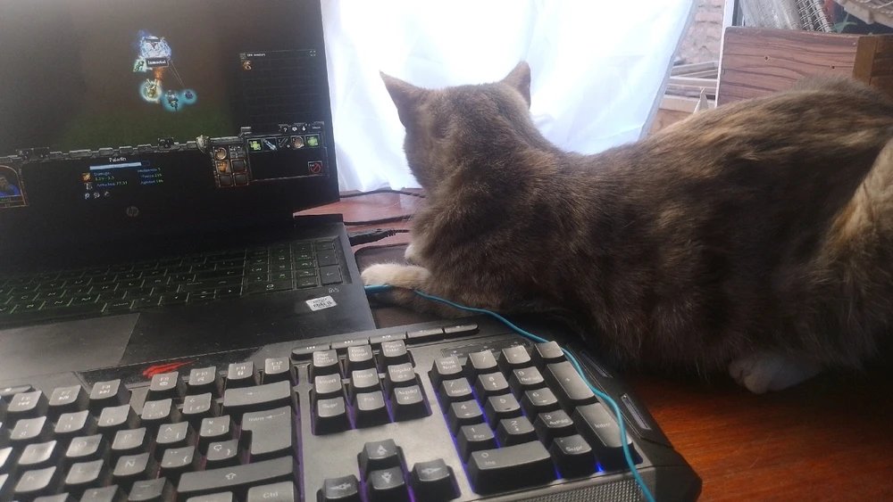 Imagen subida por Oscar