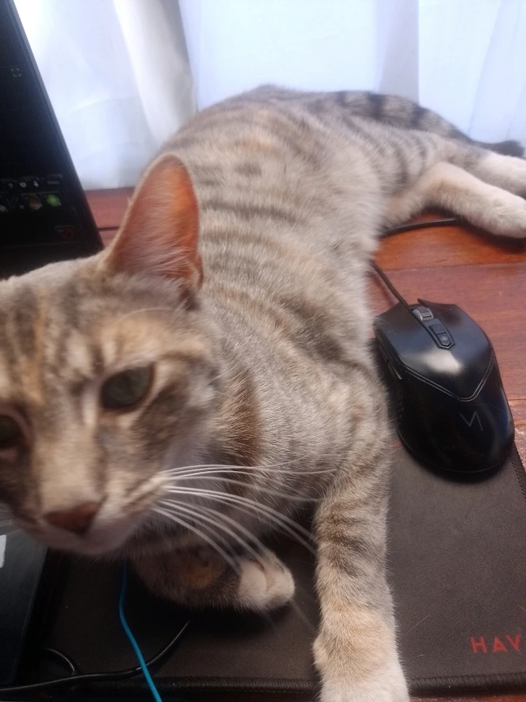 Imagen subida por Oscar