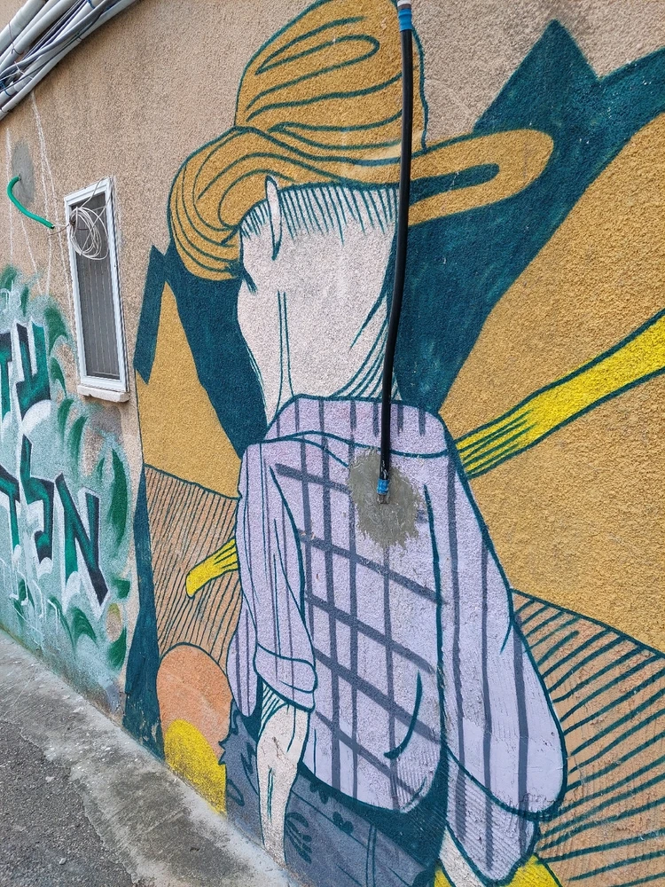 Image uploaded by Rotem