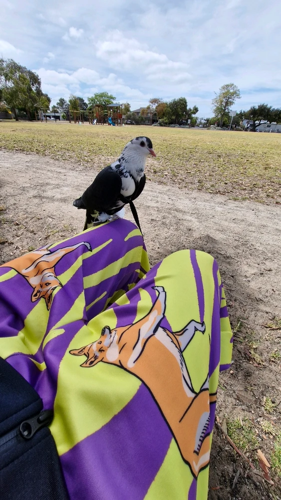 GIF uploaded by Christopher