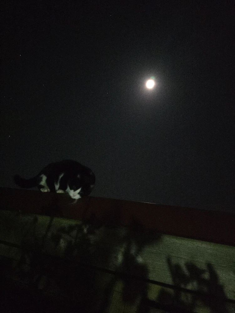 Image ajoutée par Alexandre