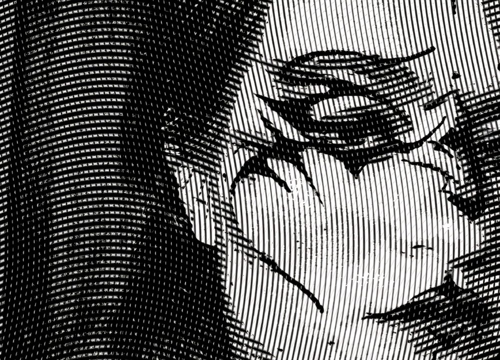 Image uploaded by Zana