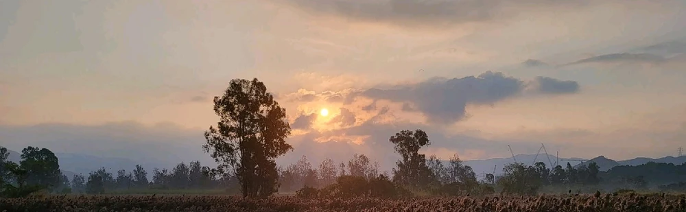 Image uploaded by 💜J💜o💜e💜y💜