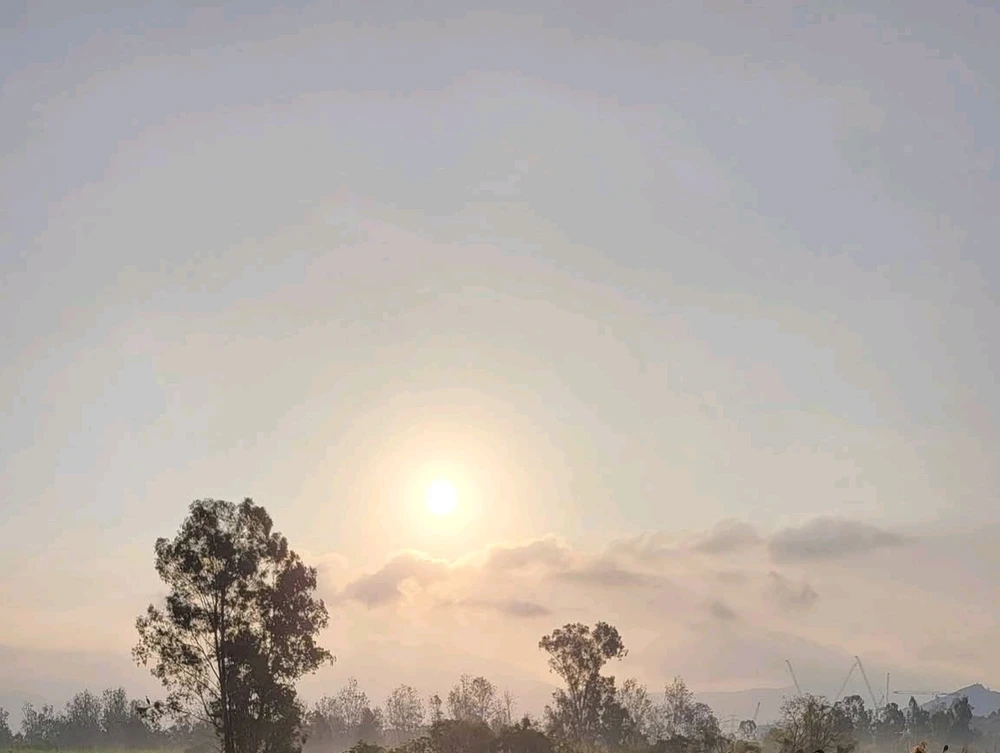 Image uploaded by 💜J💜o💜e💜y💜