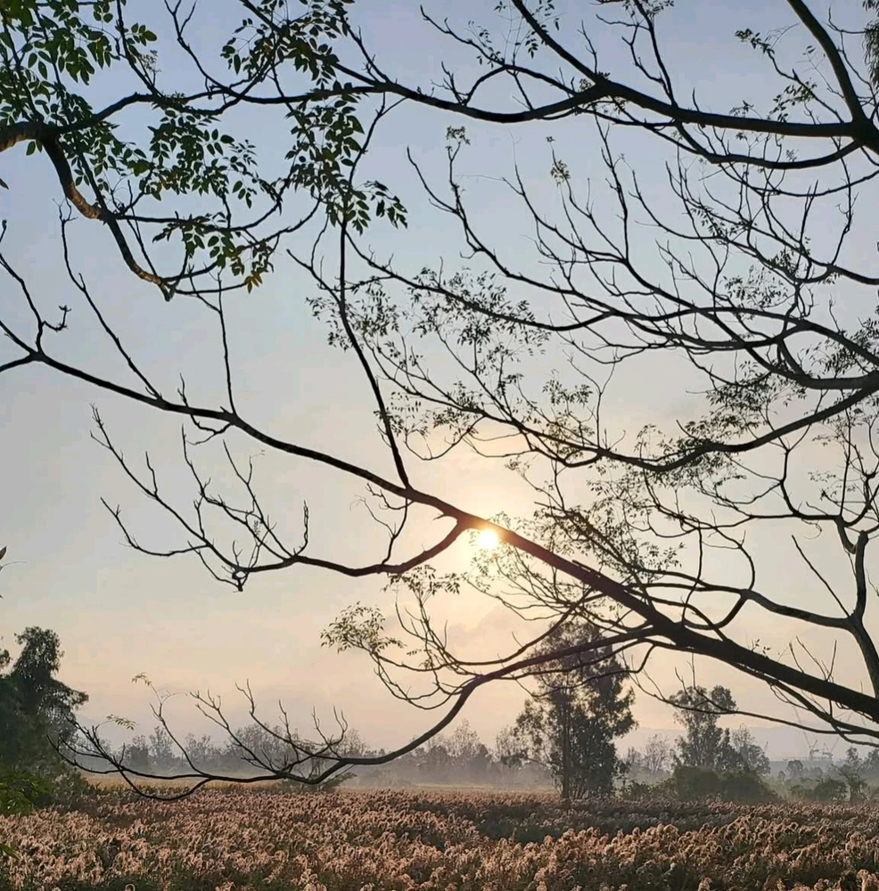 Image uploaded by 💜J💜o💜e💜y💜