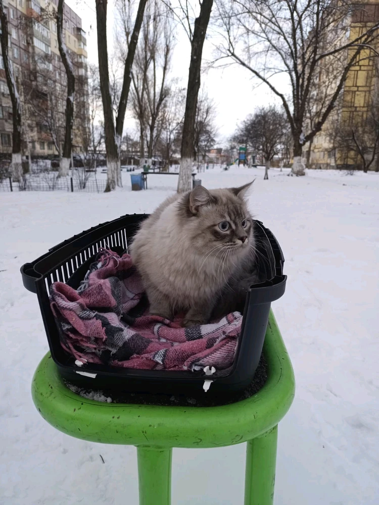 Гіфку завантажив Інна