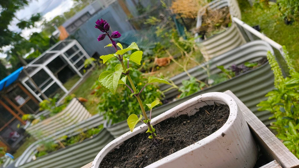 Image uploaded by Trilby