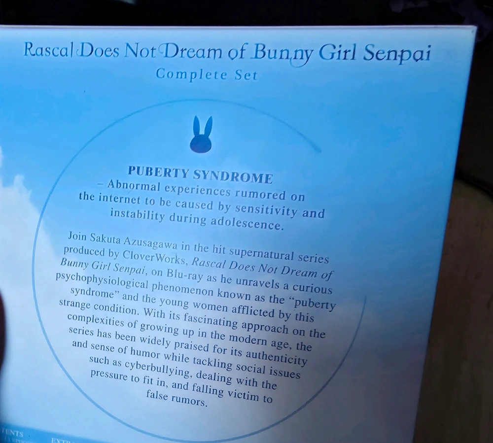 Back of the first light novel 