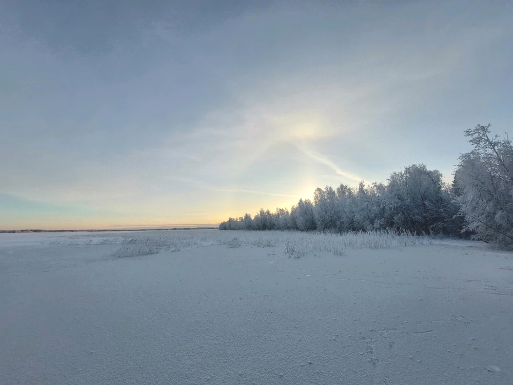 GIF uploaded by FreeDive