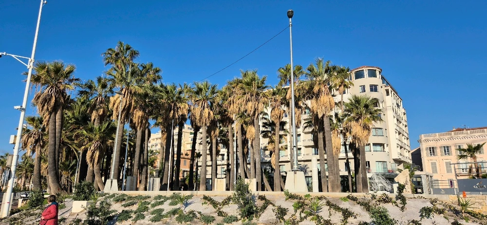 Image uploaded by Dávid