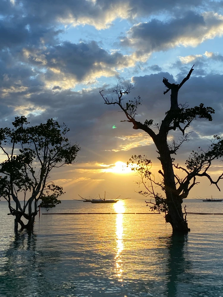 Image uploaded by Chel