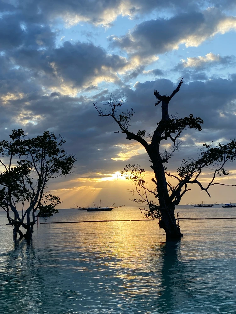 Image uploaded by Chel