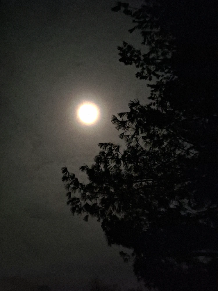 GIF uploaded by Twopercentnorseman