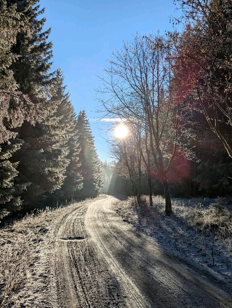 Bild hochgeladen von Maik