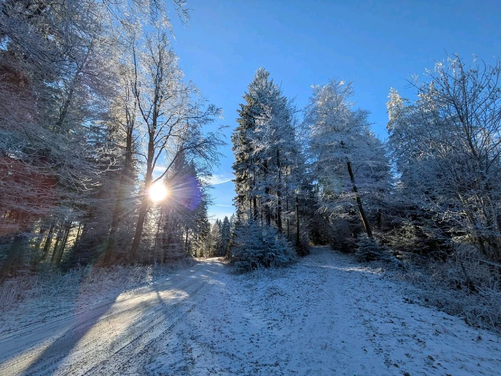Bild hochgeladen von Maik