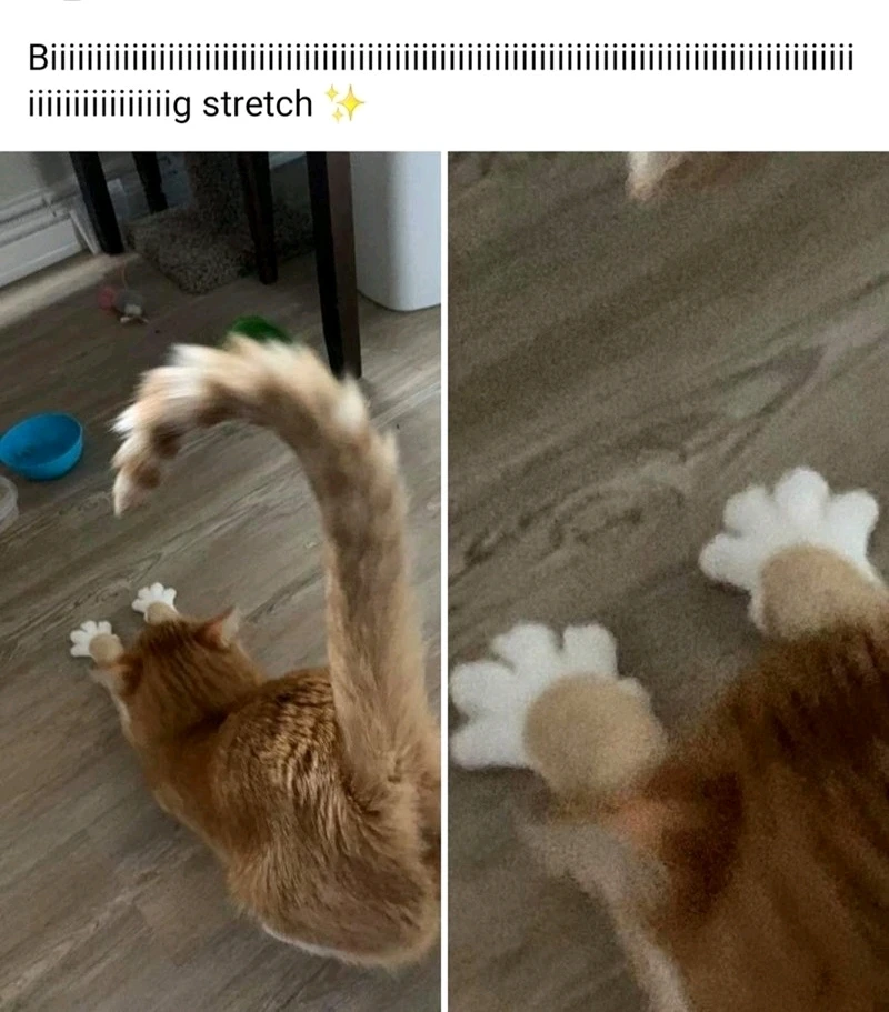 GIF uploaded by 《🌹.::Lenöré::.🌹》