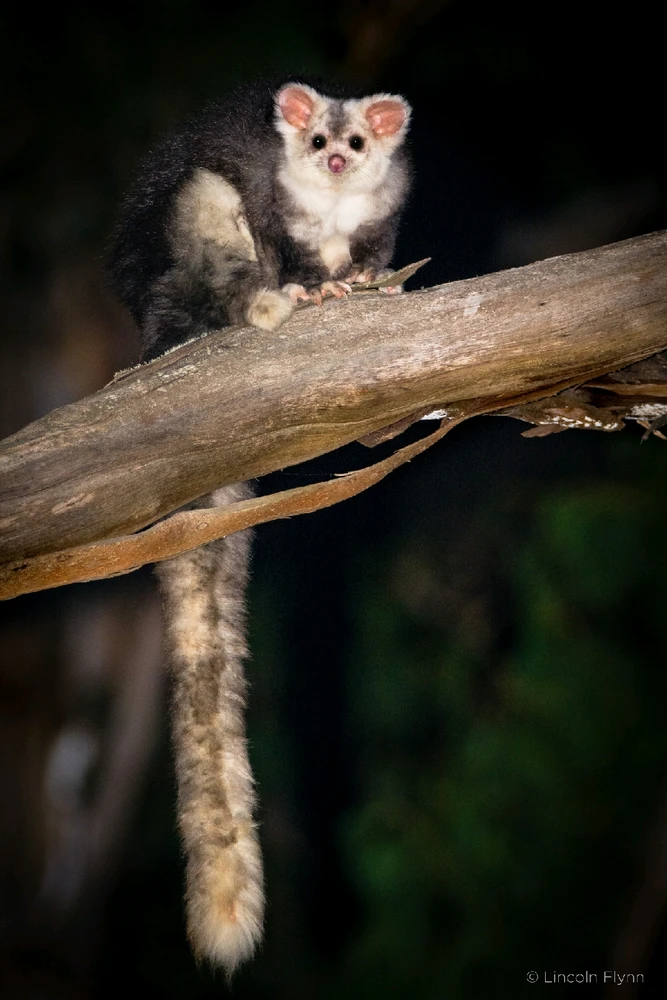 Zdjęcie dodane przez Maciek