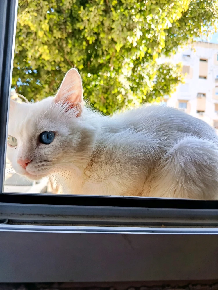 GIF ajouté par Kun iheb