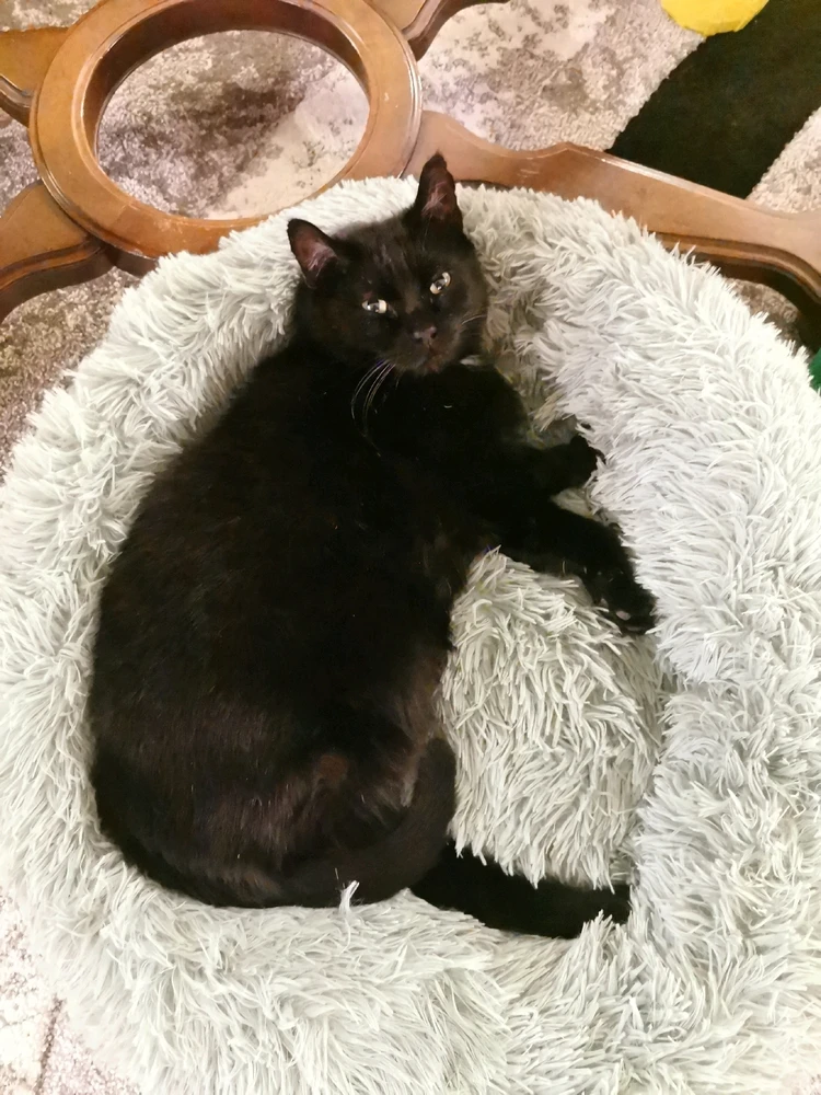 GIF hochgeladen von Patrick