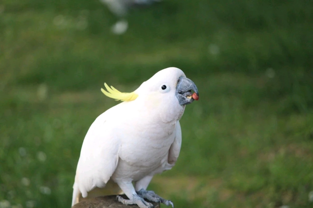 GIF uploaded by Aleš