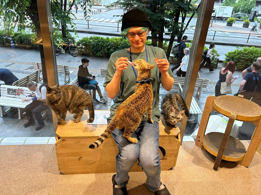 Gambar diunggah dening Pascal