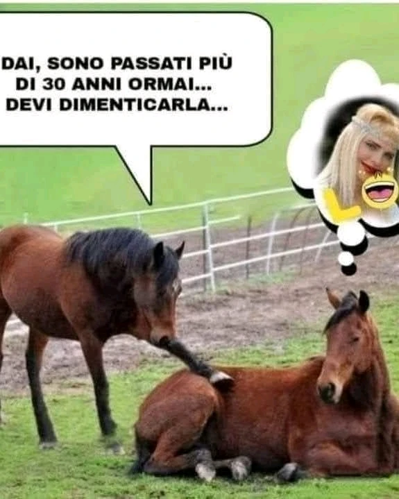 GIF caricata da Jenej