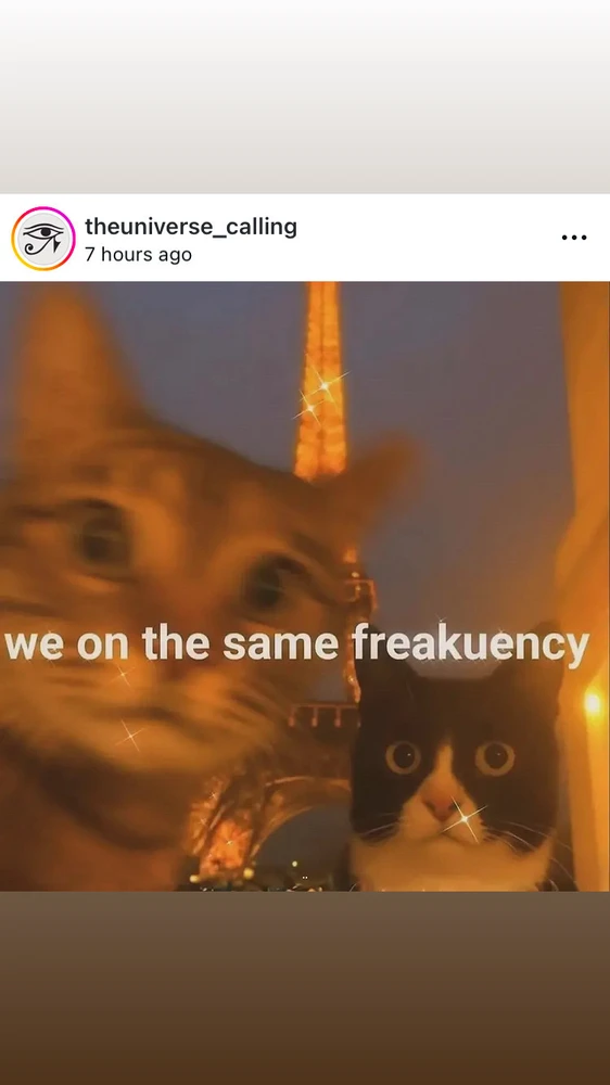 Image uploaded by 🦄Olivia