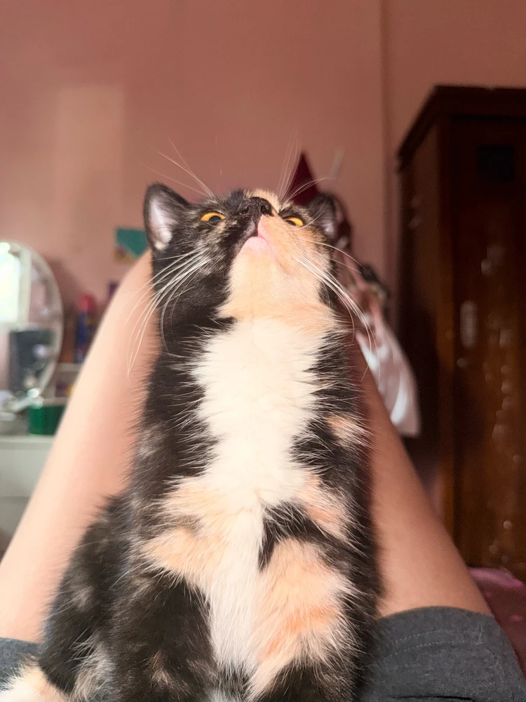 GIF uploaded by Najla