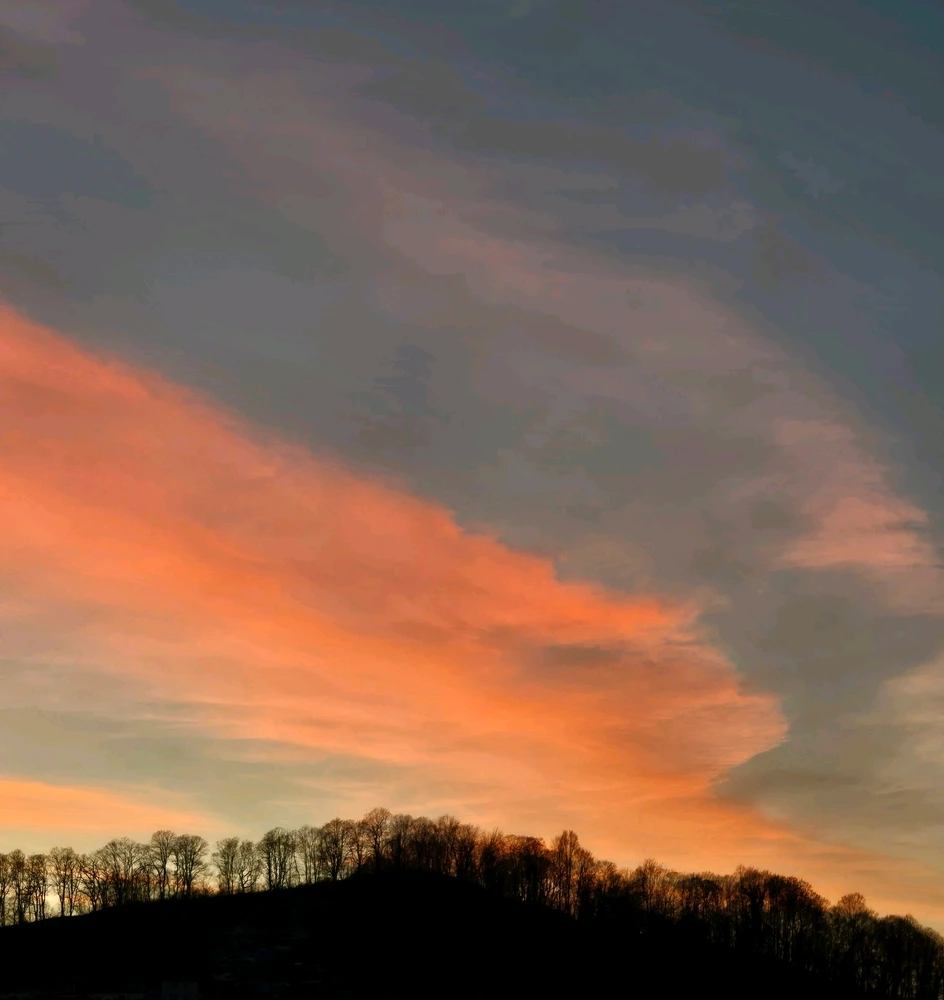 Image uploaded by Marissa