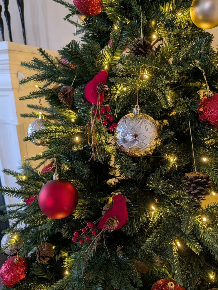 Image uploaded by Melissa