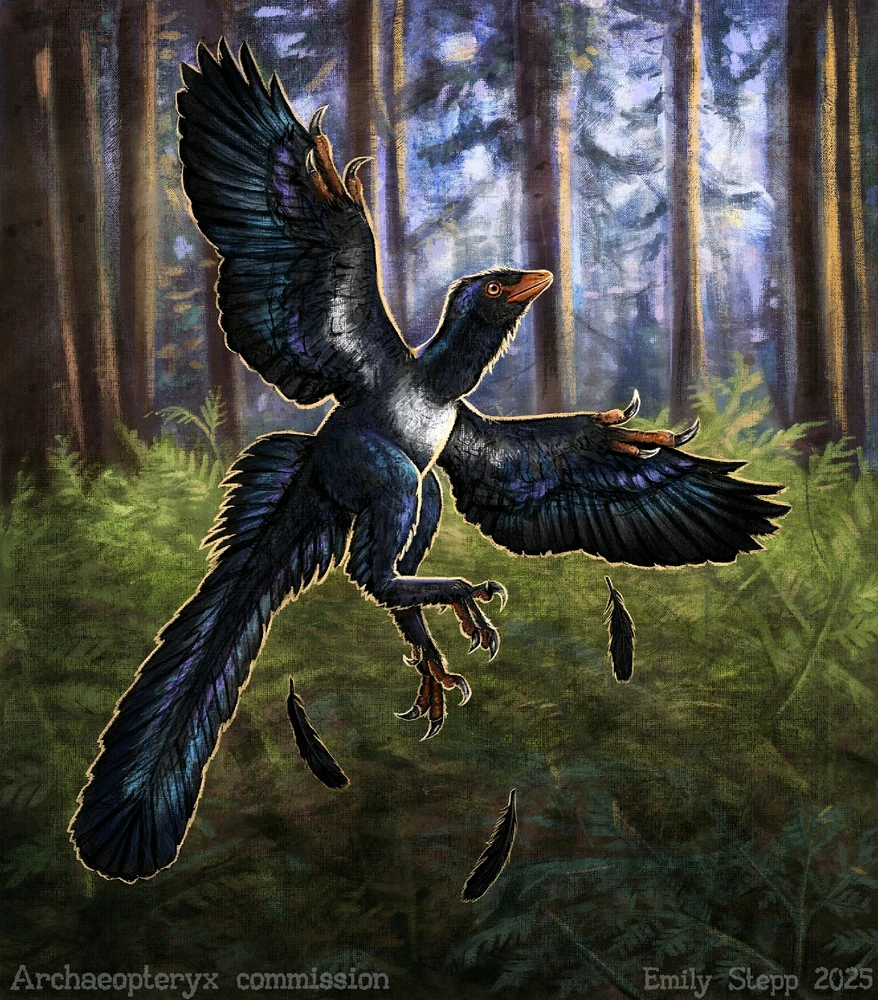 Imagem enviada por Pedro Tomaz