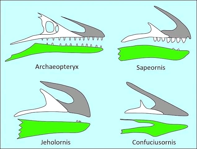 Imagem enviada por Pedro Tomaz
