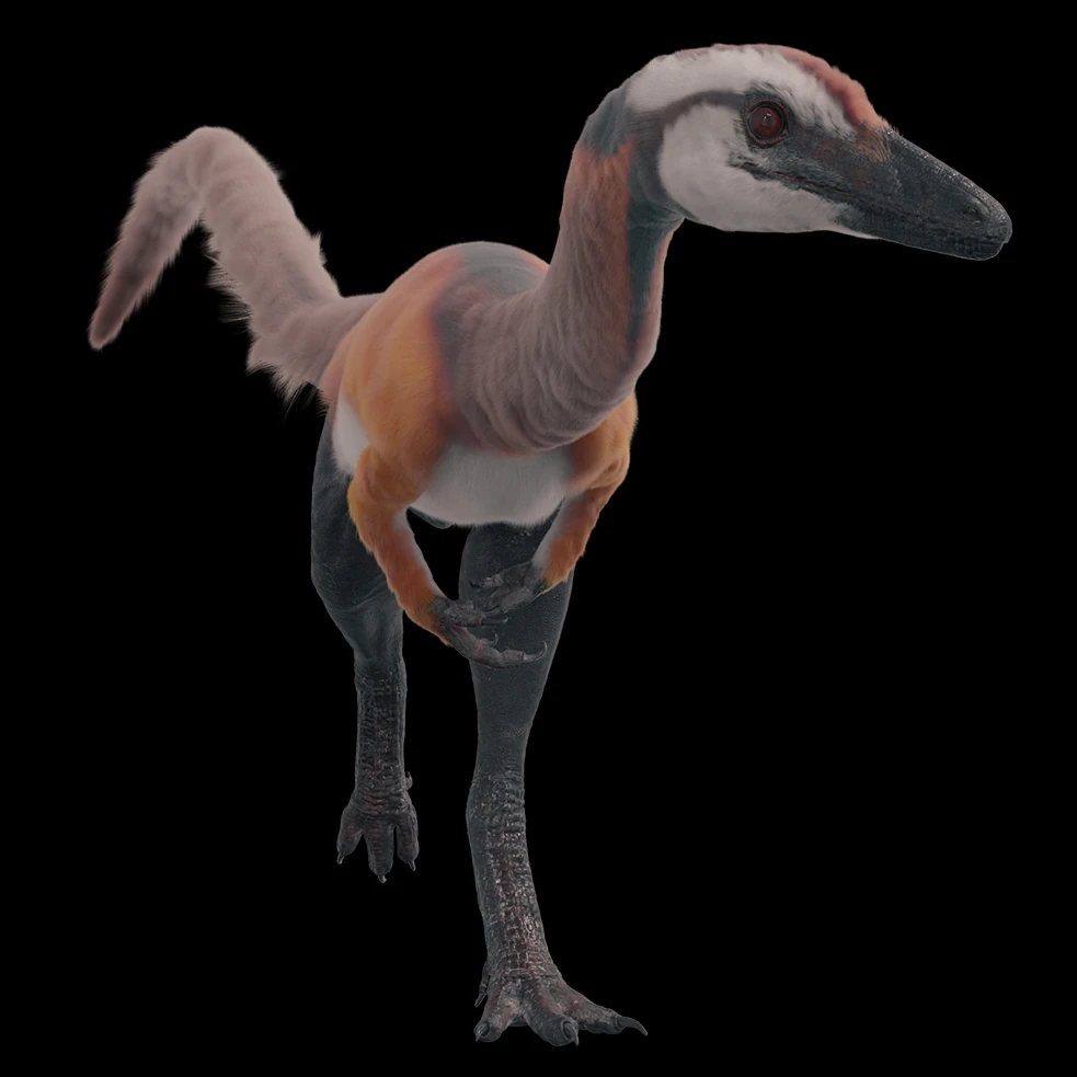 Imagem enviada por Pedro Tomaz