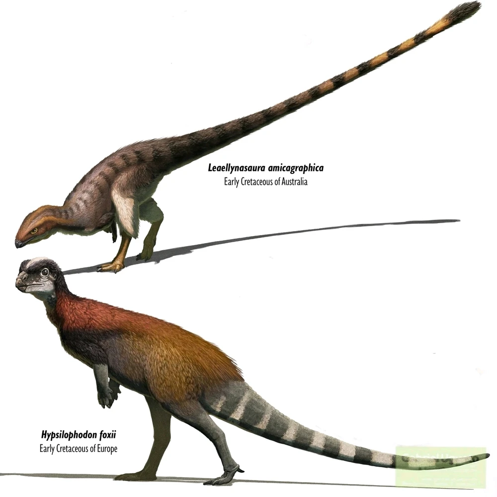 Imagem enviada por Pedro Tomaz