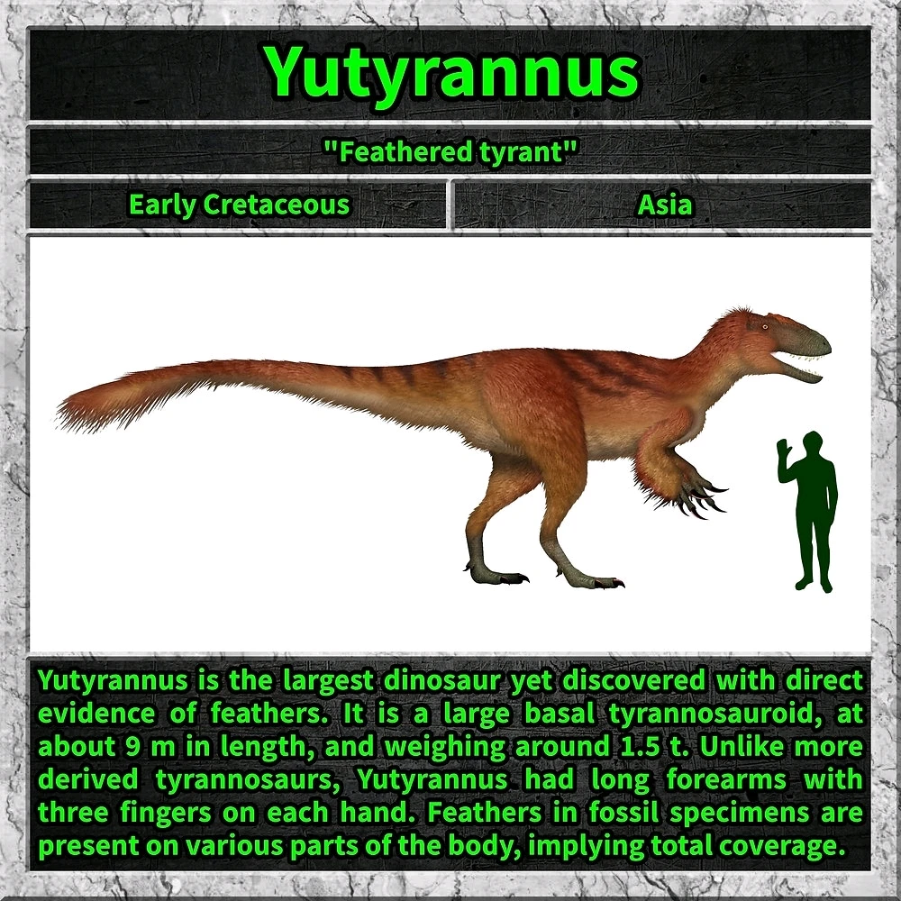 Imagem enviada por Pedro Tomaz