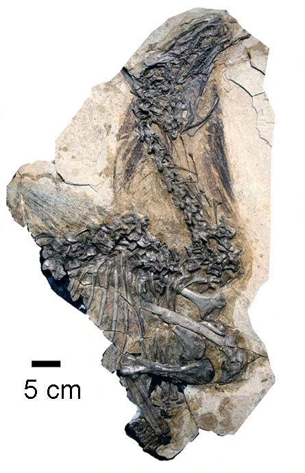 Imagem enviada por Pedro Tomaz