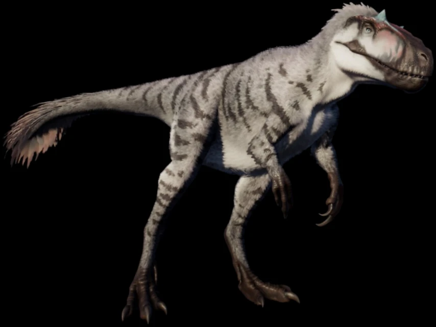 Imagem enviada por Pedro Tomaz