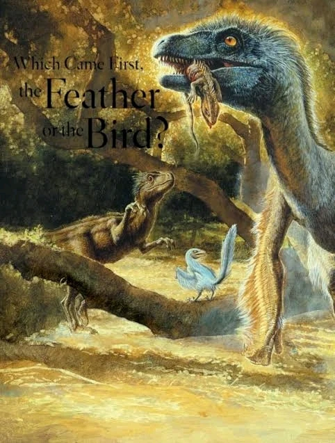 Imagem enviada por Pedro Tomaz