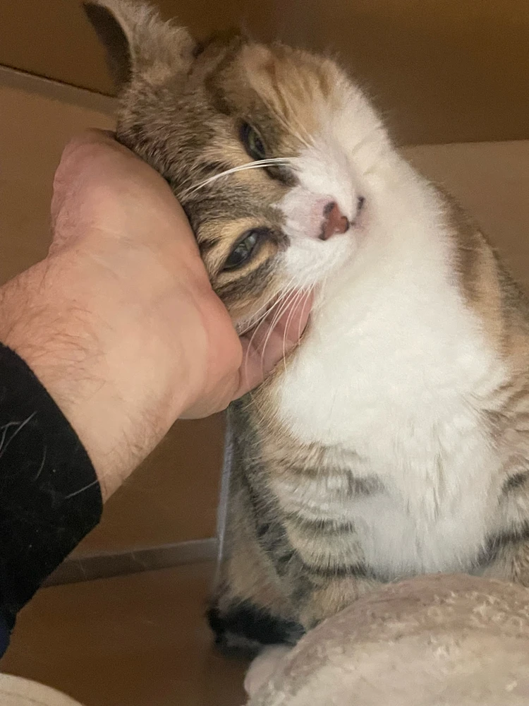 Image uploaded by Robbie