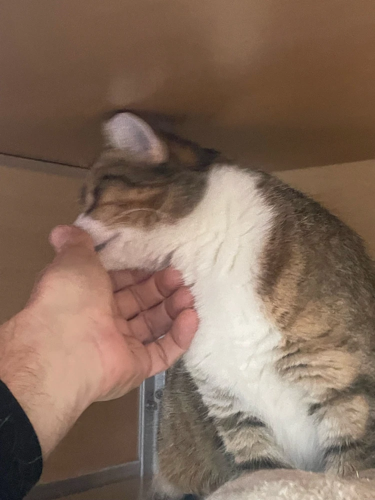 Image uploaded by Robbie