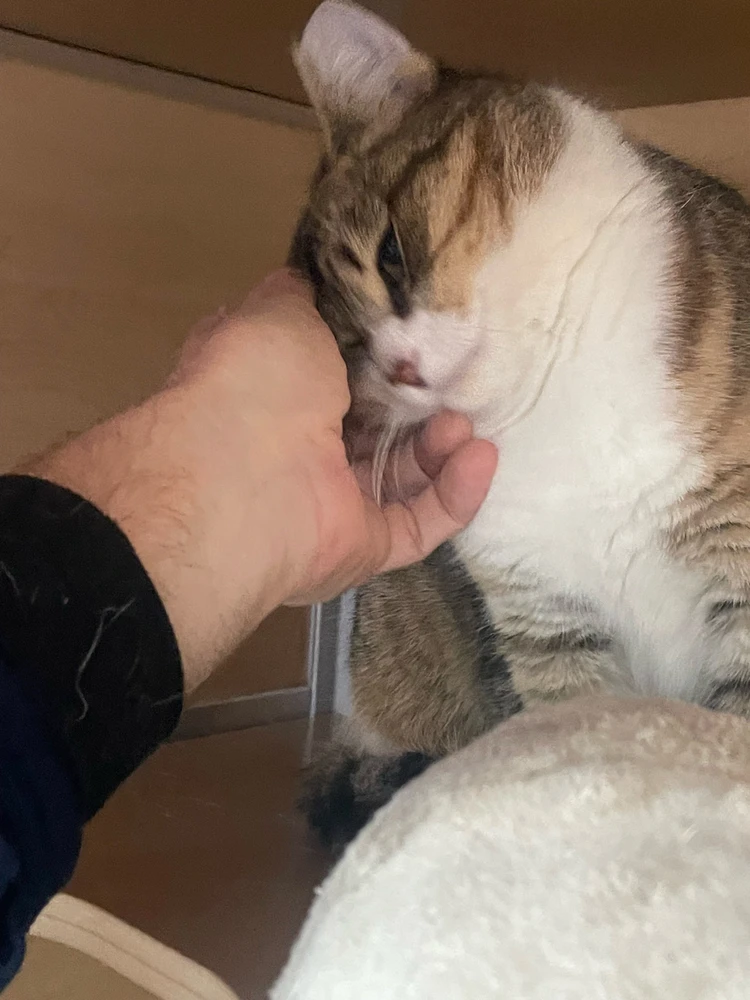 Image uploaded by Robbie