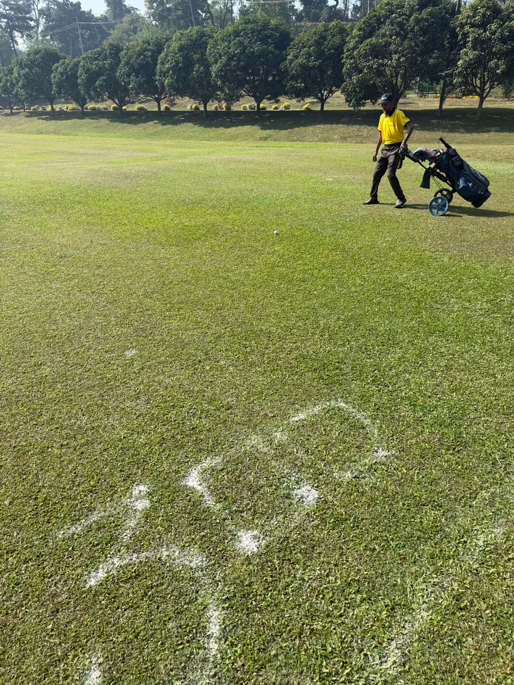 Image uploaded by Frozen