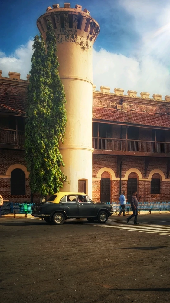 theviewfindersoul അപ്‌ലോഡ് ചെയ്ത GIF